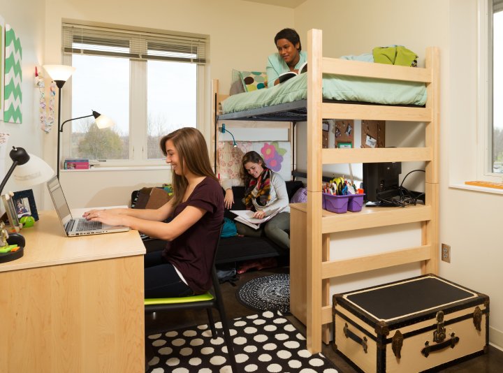 Three students in a dorm room with a lofted bed. One student works on a laptop at a desk, another lounges on the futon underneath the lofted bed reading, and the third student is lying on the top bunk reading a book. The room is neatly organized with various decorations, books.